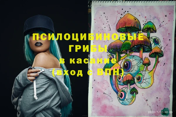 соль ск Нефтегорск
