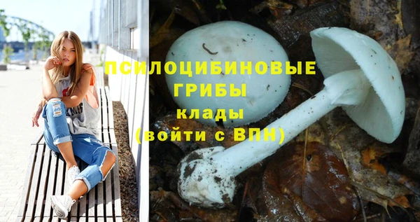 бошки Наволоки