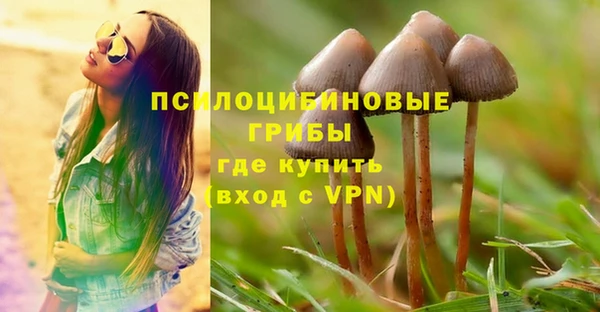 соль ск Нефтегорск